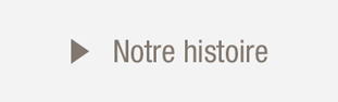 06_BTN-histoire.png